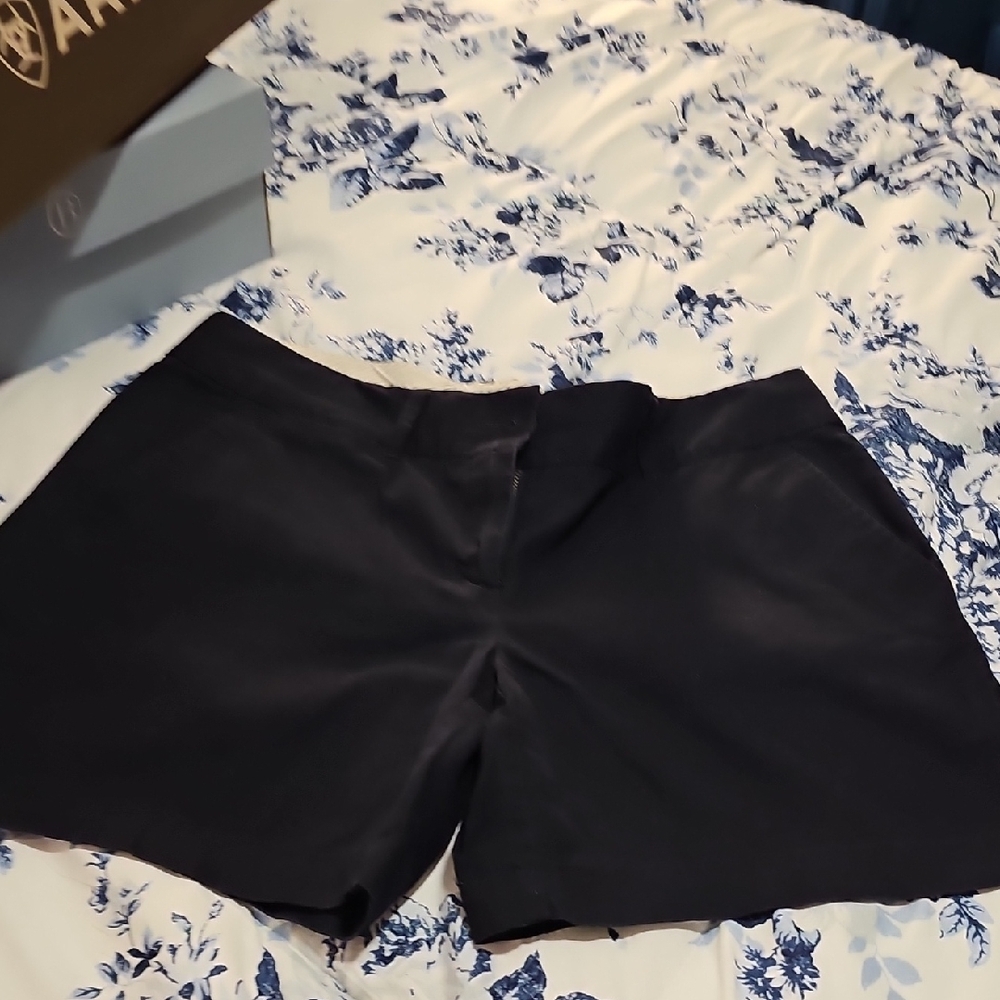 Loft Riviera Black Women's Shorts